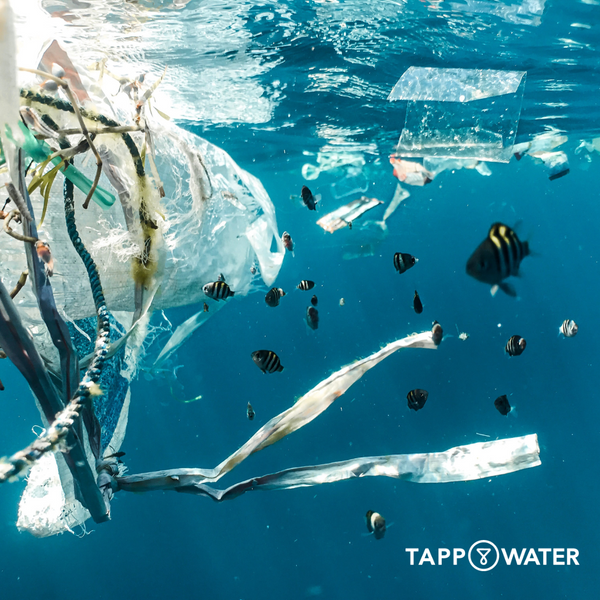TAPP Water và sứ mệnh giảm rác thải nhựa